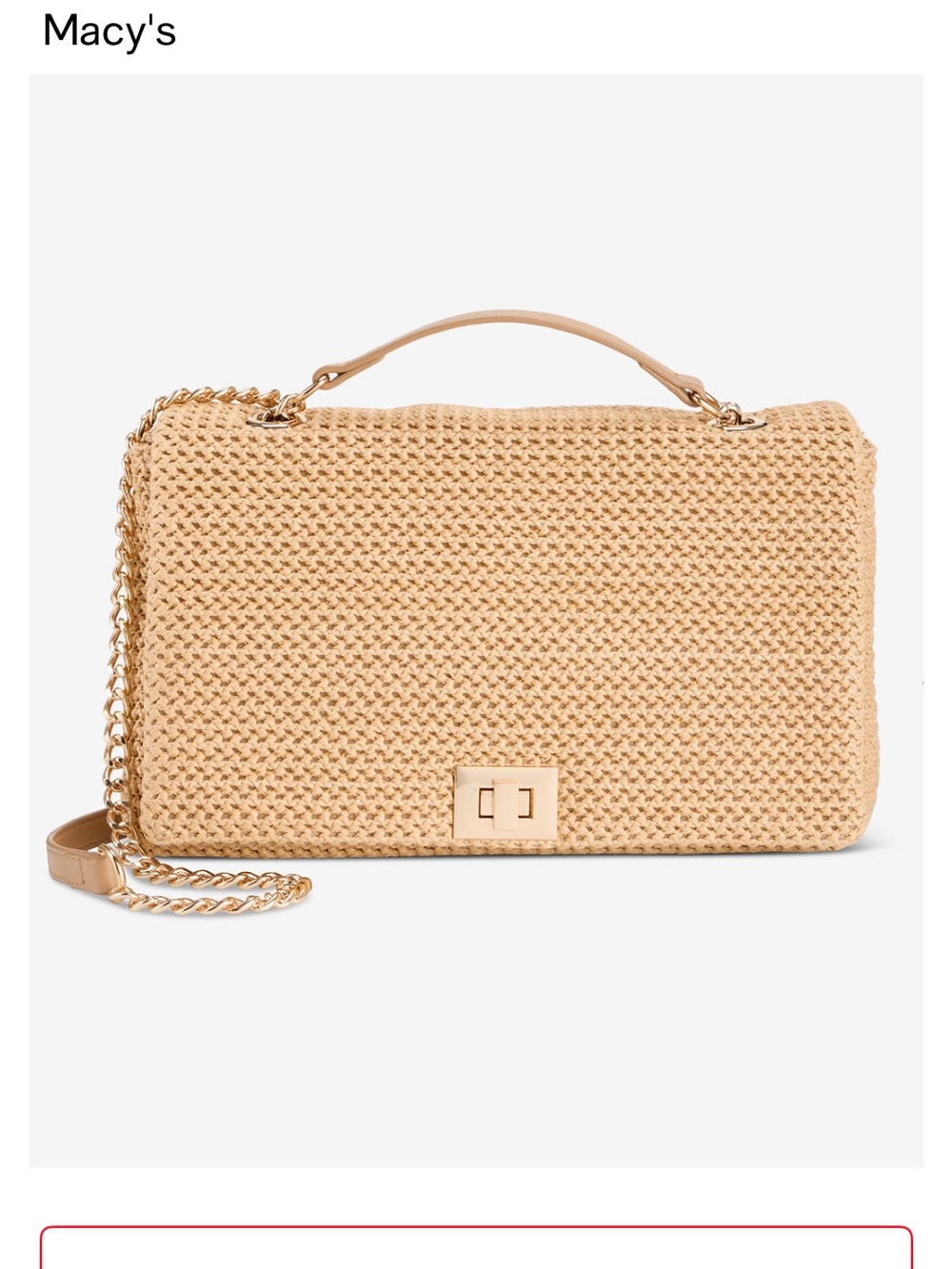 Woven Straw Chain-Shoulder Bag in Natural NWT